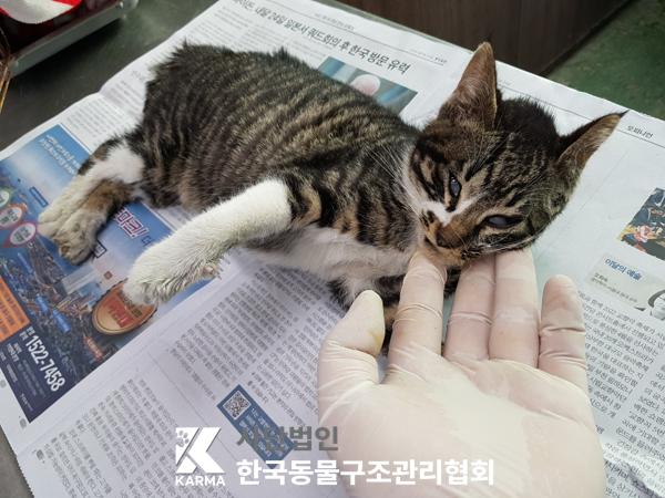 종료(자연사) 한국…